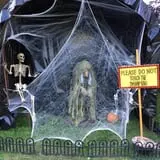 Jeremy's Pumpkins photo