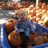 Jeremy's Pumpkins photo