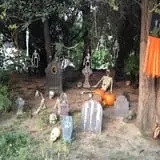 Jeremy's Pumpkins photo