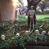 Jeremy's Pumpkins photo