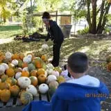 Jeremy's Pumpkins photo