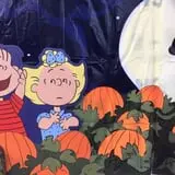 Jeremy's Pumpkins photo