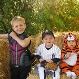 Jeremy's Pumpkins photo