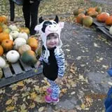 Jeremy's Pumpkins photo