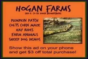Hogan Farms Pumpkin Patch and Corn Maze