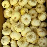 Rose Orchards Corn Maze & Pumpkin Patch photo