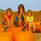 Rose Orchards Corn Maze & Pumpkin Patch photo