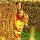 Rose Orchards Corn Maze & Pumpkin Patch photo