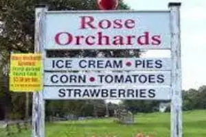 Rose Orchards Corn Maze & Pumpkin Patch