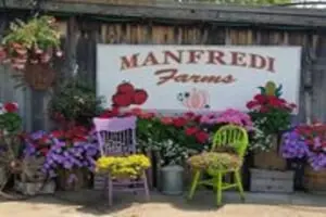 Manfredi Farms