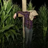 Horrorfest by Shady Brook Farm photo