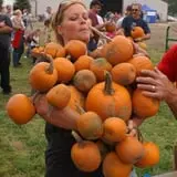 Country Mill Orchard & Cider Mill photo