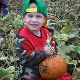 Country Mill Orchard & Cider Mill photo