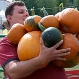 Country Mill Orchard & Cider Mill photo
