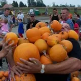 Country Mill Orchard & Cider Mill photo