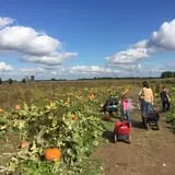 Country Mill Orchard & Cider Mill photo
