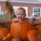 Country Mill Orchard & Cider Mill photo