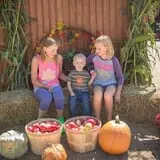 Country Mill Orchard & Cider Mill photo
