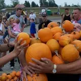 Country Mill Orchard & Cider Mill photo