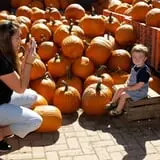 Country Mill Orchard & Cider Mill photo