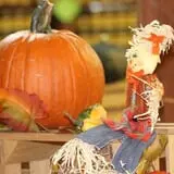 Country Mill Orchard & Cider Mill photo