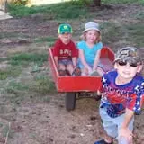 Country Mill Orchard & Cider Mill photo