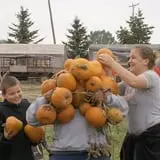 Country Mill Orchard & Cider Mill photo