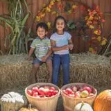 Country Mill Orchard & Cider Mill photo