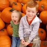 Country Mill Orchard & Cider Mill photo
