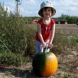 Country Mill Orchard & Cider Mill photo
