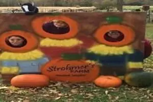 Strohmer's Farm Fall Fest