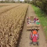 Scarecrow Farm Corn Maze and Hayrides photo