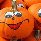 Scarecrow Farm Corn Maze and Hayrides photo