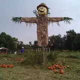 Scarecrow Farm Corn Maze and Hayrides photo