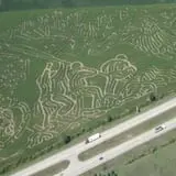 Farmer J's World Record Corn Maze photo
