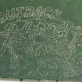 Farmer J's World Record Corn Maze photo