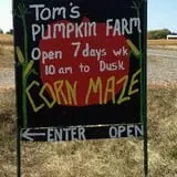 Tom's Pumpkin Farm photo