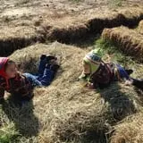 Tom's Pumpkin Farm photo