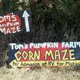Tom's Pumpkin Farm photo