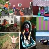 Alewives Brook Farm - Pumpkin Patch by the Sea photo
