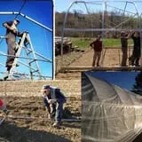 Alewives Brook Farm - Pumpkin Patch by the Sea photo