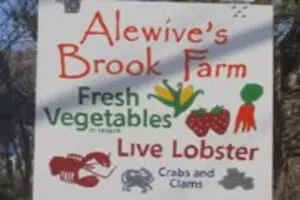 Alewives Brook Farm - Pumpkin Patch by the Sea