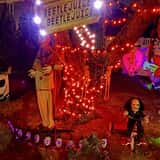 THE LAST HOUSE ON THE LEFT HOME OF HORROR photo