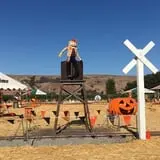 Spina Farms Pumpkin Patch photo
