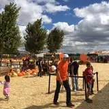 Spina Farms Pumpkin Patch photo