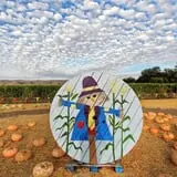 Spina Farms Pumpkin Patch photo