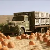 Spina Farms Pumpkin Patch photo