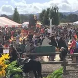 Spina Farms Pumpkin Patch photo