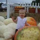 Spina Farms Pumpkin Patch photo