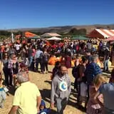 Spina Farms Pumpkin Patch photo